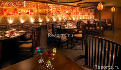 Paradisus Palma Real 51